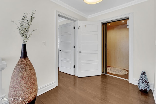 hall featuring crown molding, baseboards, and wood finished floors