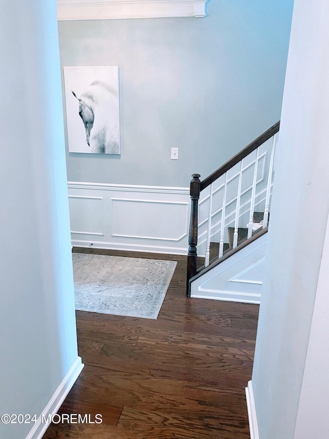 foyer entrance featuring wood finished floors, a wainscoted wall, baseboards, stairs, and a decorative wall