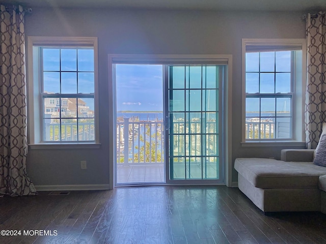 entryway with dark wood-style floors, a healthy amount of sunlight, and baseboards