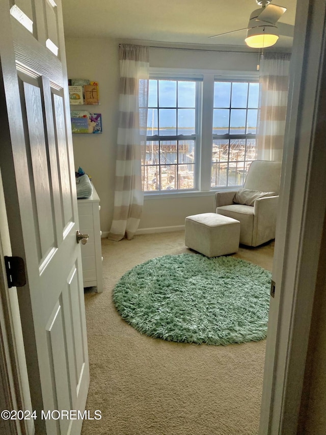 interior space with carpet and baseboards