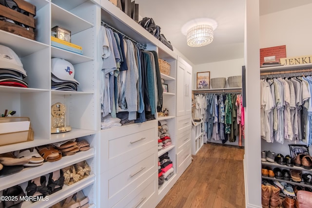 spacious closet featuring light wood-type flooring