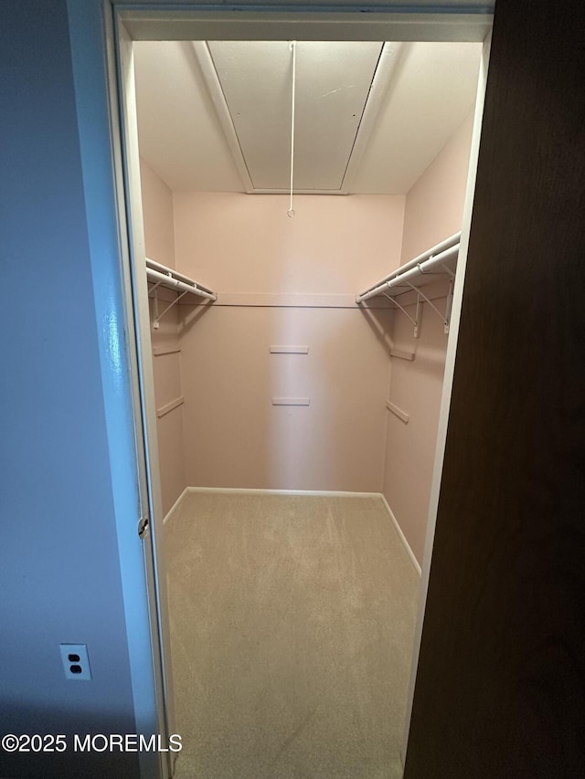 walk in closet featuring attic access and carpet flooring