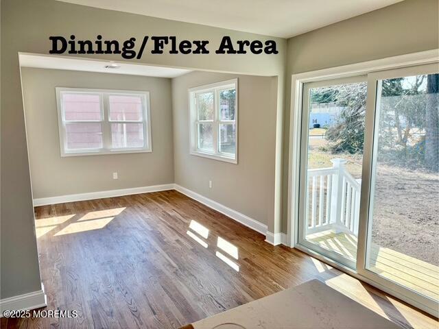 interior space with baseboards, plenty of natural light, and wood finished floors