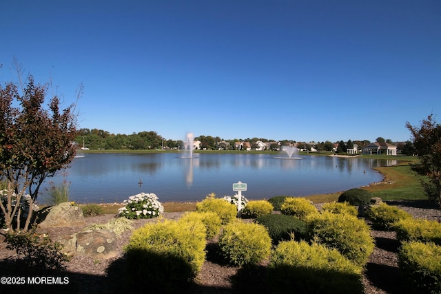 view of water feature