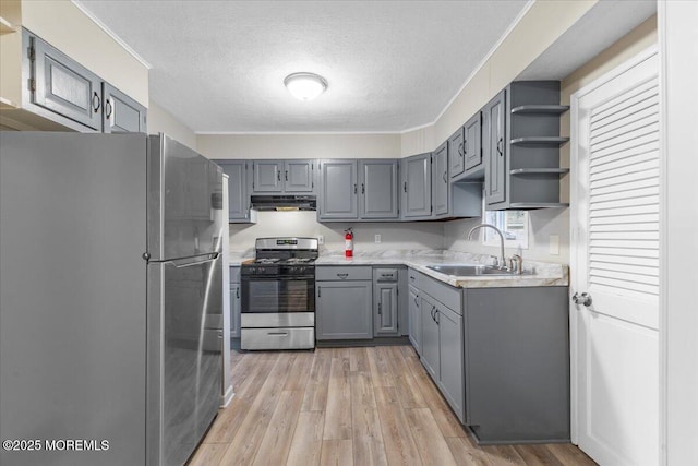 kitchen with gray cabinetry, under cabinet range hood, appliances with stainless steel finishes, light wood-style floors, and a sink