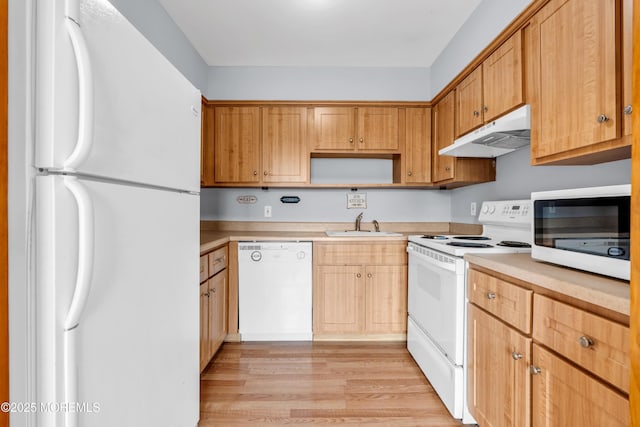 kitchen featuring under cabinet range hood, a sink, white appliances, light wood finished floors, and light countertops