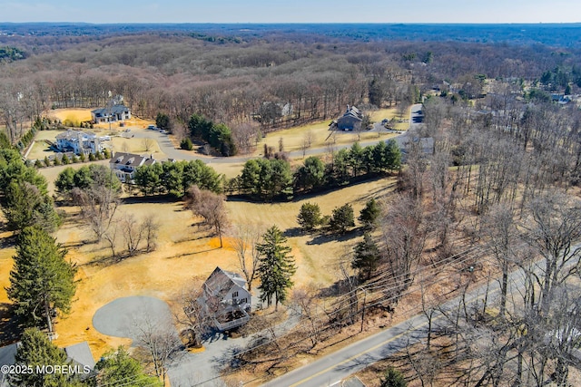 birds eye view of property featuring a forest view