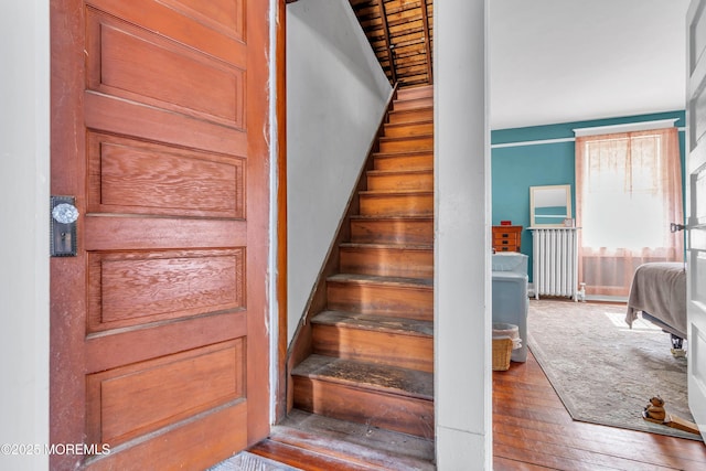 stairway featuring wood-type flooring