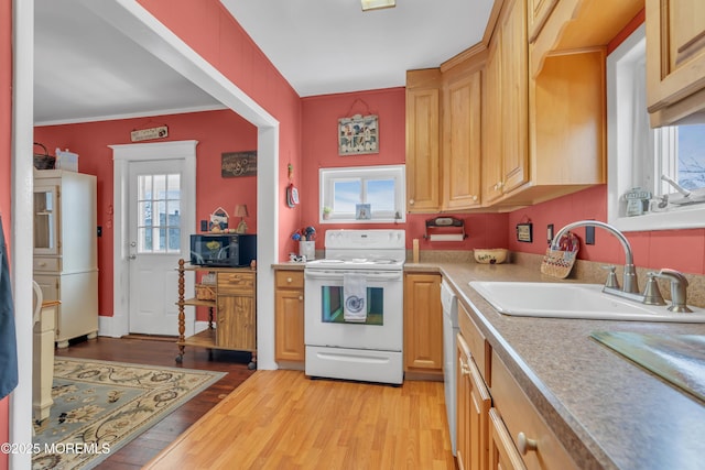 kitchen with white appliances, light wood-type flooring, a wealth of natural light, and a sink