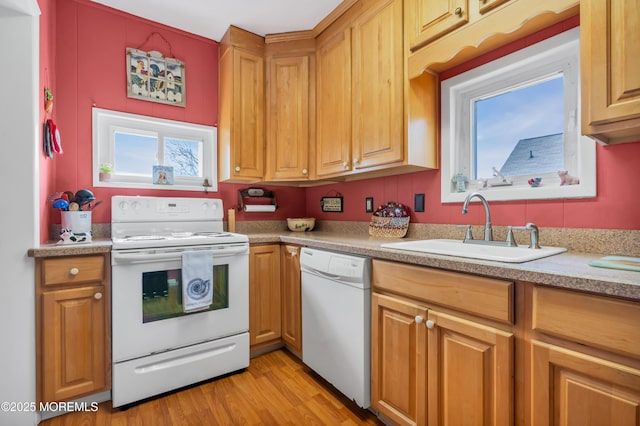 kitchen with white appliances, light wood-style flooring, light countertops, and a sink