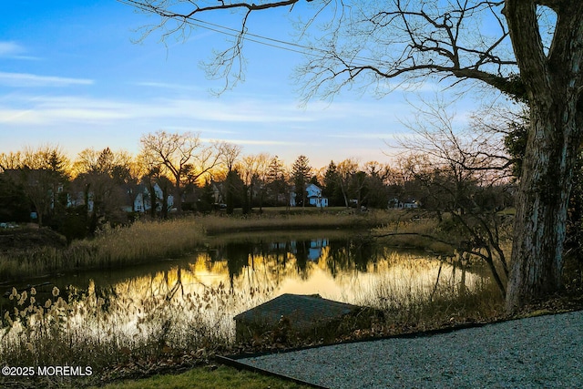 property view of water