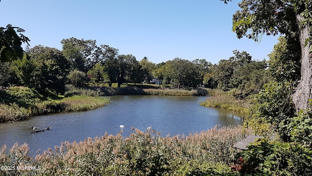 property view of water