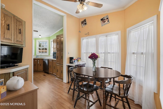 dining room featuring light wood finished floors, a textured ceiling, ceiling fan, and ornamental molding