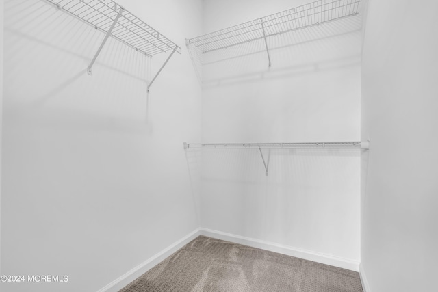 spacious closet with carpet flooring