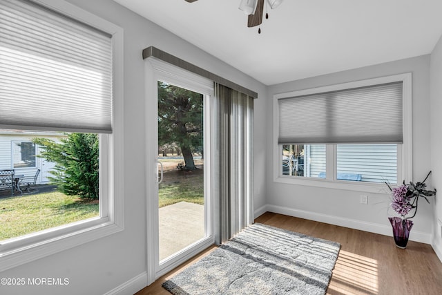 entryway featuring a wealth of natural light, baseboards, wood finished floors, and ceiling fan