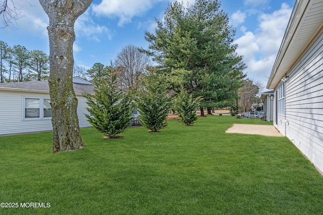 view of yard featuring a patio