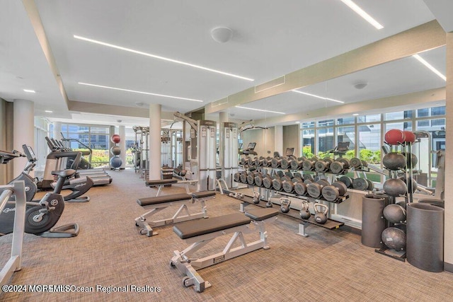 exercise room featuring carpet