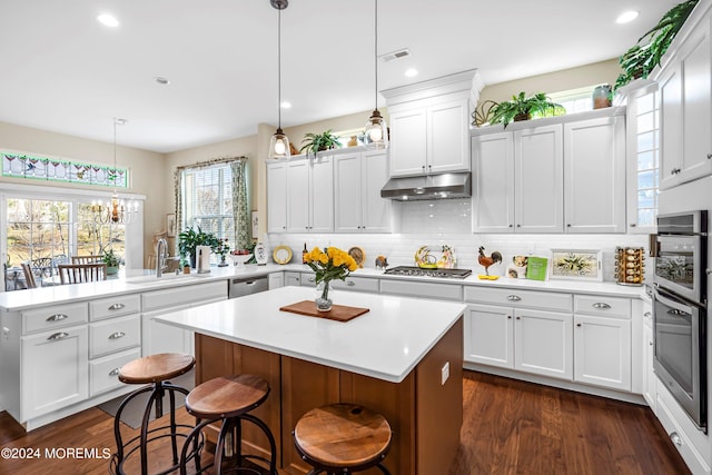 kitchen featuring under cabinet range hood, light countertops, a peninsula, stainless steel appliances, and a sink