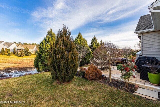 view of yard with a patio area