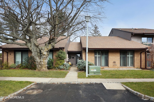 view of front facade with a front lawn, brick siding, and roof with shingles