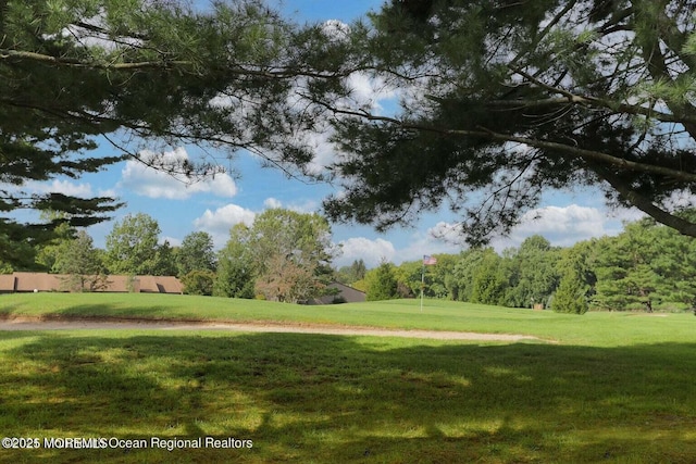 view of property's community featuring a lawn