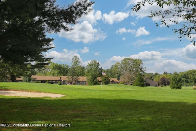 view of home's community with a lawn