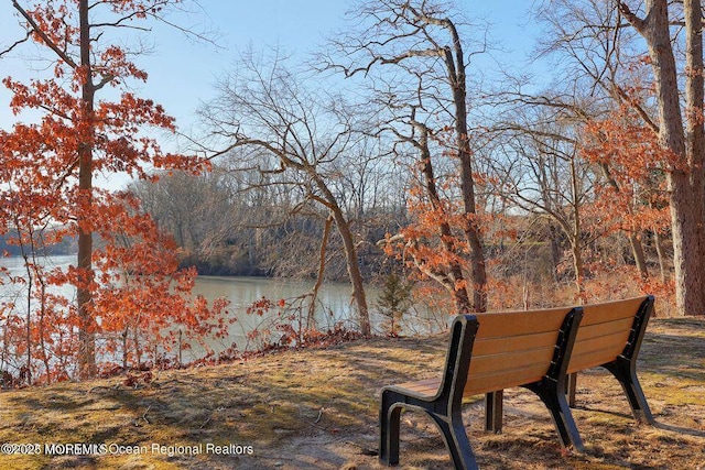 view of yard with a wooded view and a water view