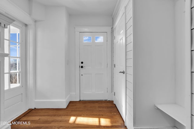 foyer entrance with baseboards, a healthy amount of sunlight, and wood finished floors