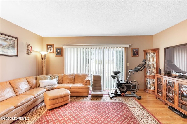 living room featuring light wood-type flooring and a textured ceiling