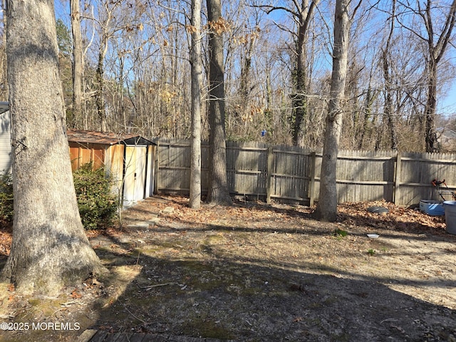 view of yard with a storage unit, an outdoor structure, and fence