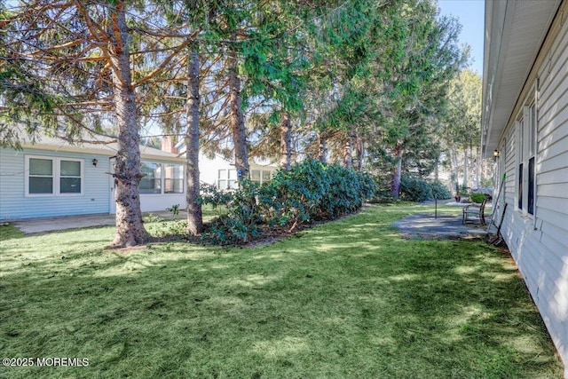 view of yard with a patio