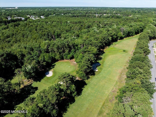 birds eye view of property featuring a view of trees