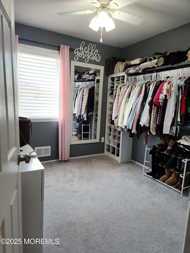 walk in closet with visible vents, a ceiling fan, and carpet flooring
