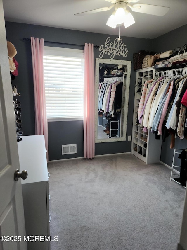 walk in closet featuring visible vents, carpet floors, and a ceiling fan
