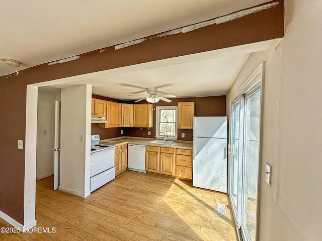 kitchen featuring under cabinet range hood, light countertops, light wood-style flooring, white appliances, and a sink