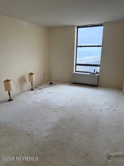 empty room featuring carpet floors