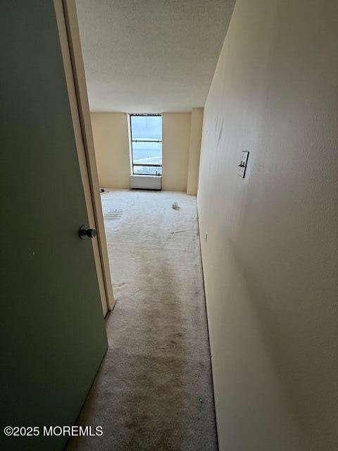 hallway featuring carpet floors and a textured ceiling