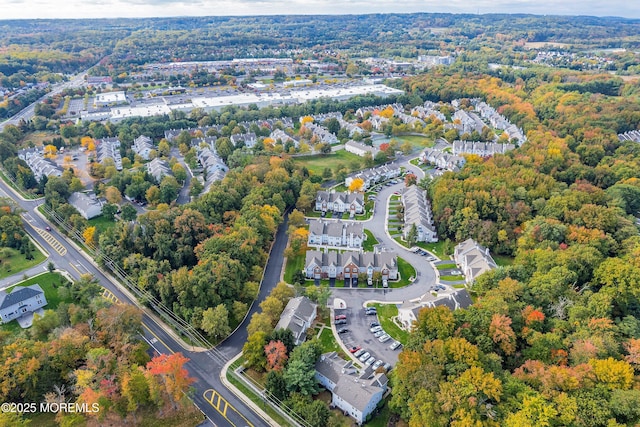 bird's eye view