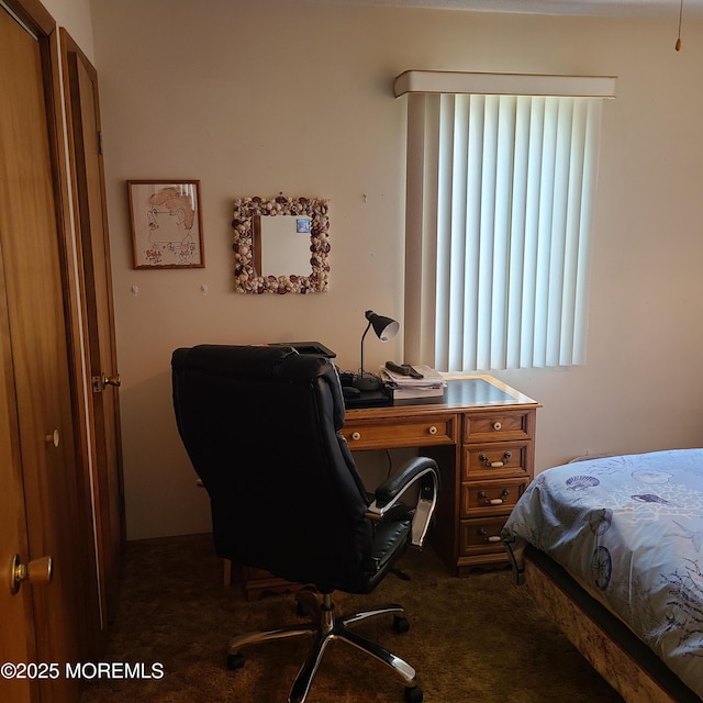 bedroom featuring dark colored carpet