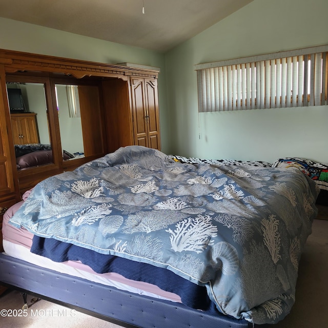 bedroom with lofted ceiling