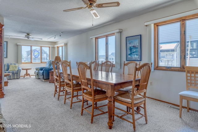 35 W Mohawk Dr, Little Egg Harbor, NJ 08087 - dining space featuring ceiling fan, a textured ceiling, light carpet, and plenty of natural light