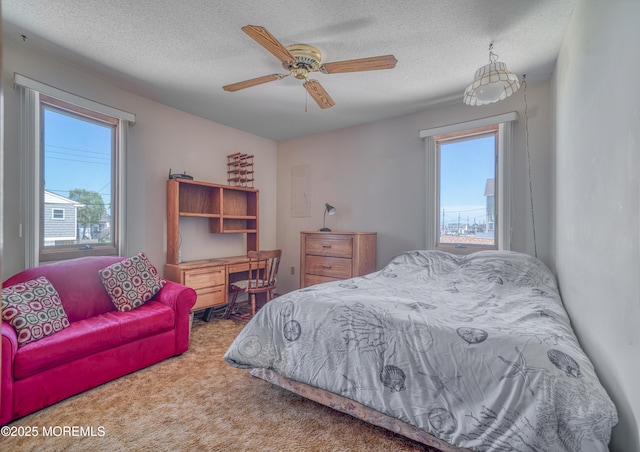 35 W Mohawk Dr, Little Egg Harbor, NJ 08087 - carpeted bedroom with multiple windows, a textured ceiling, and a ceiling fan