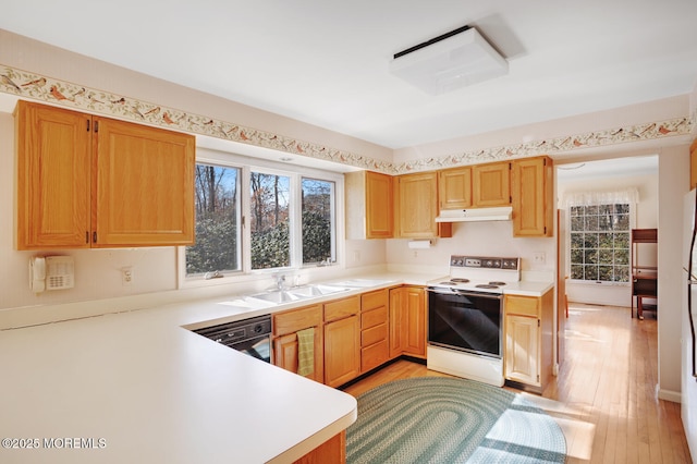 kitchen featuring under cabinet range hood, white electric range oven, light wood-style floors, light countertops, and dishwasher