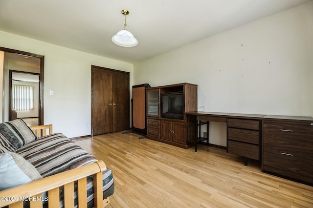 living room with light wood-style flooring