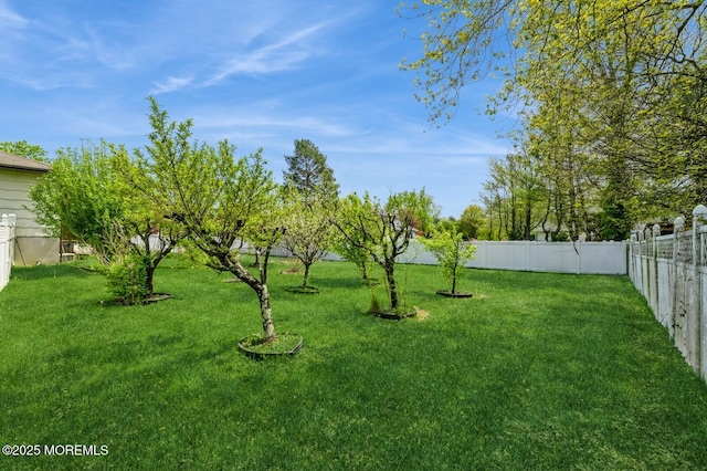 view of yard with a fenced backyard
