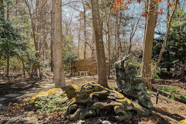 1591 Beaver Hollow Dr, Toms River, NJ 08755 - photo 67