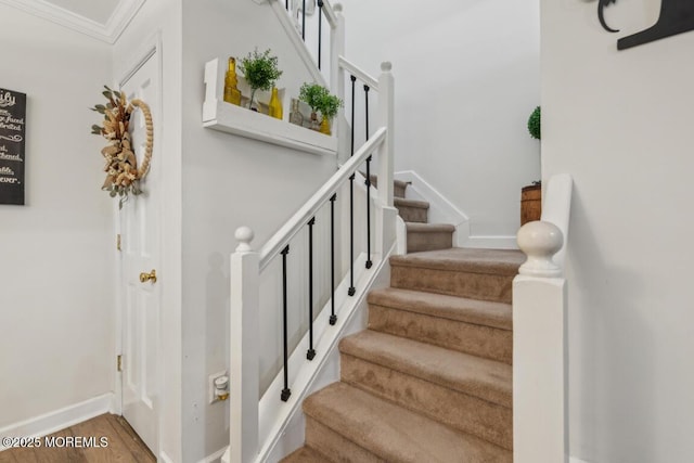 144 Brandywine Ct Unit 332, Brick, NJ 08724 - stairs with wood finished floors, baseboards, and ornamental molding