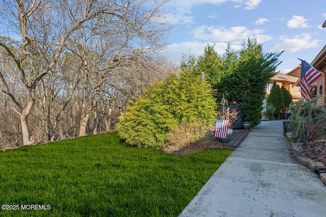 144 Brandywine Ct Unit 332, Brick, NJ 08724 - view of yard