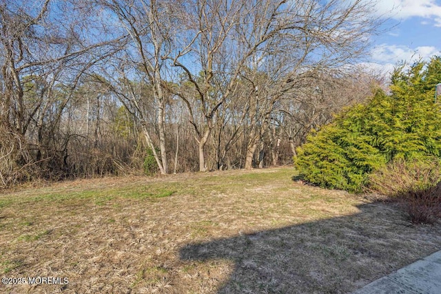 144 Brandywine Ct Unit 332, Brick, NJ 08724 - view of yard
