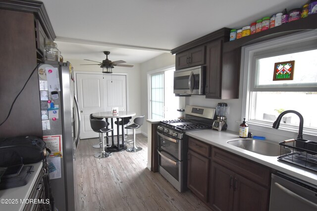 kitchen with a ceiling fan, a sink, wood finished floors, stainless steel appliances, and light countertops